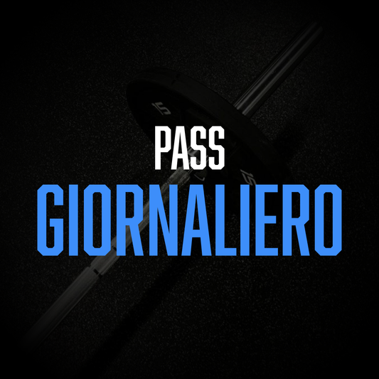 Ingresso Giornaliero